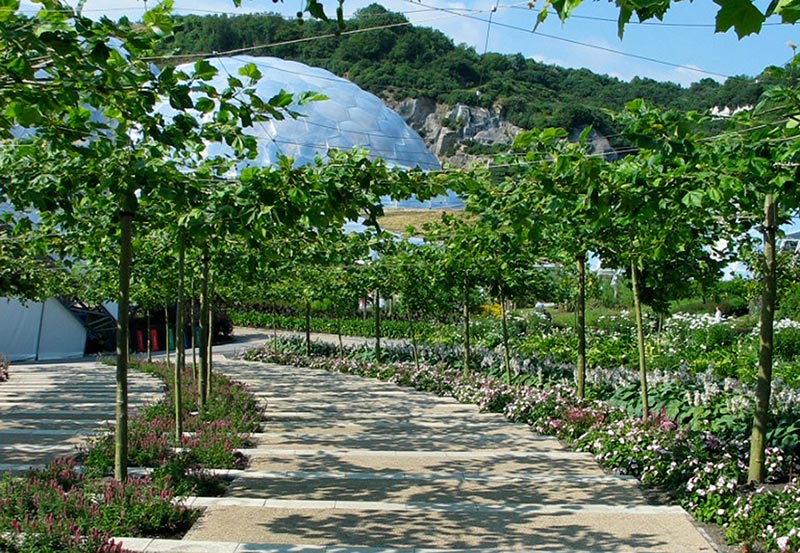 The Eden Project_Dominic Cole