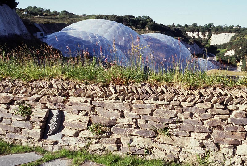 The Eden Project_Dominic Cole