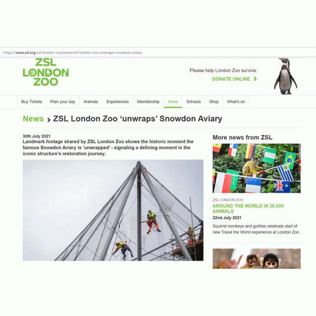 Snowdon Aviary unwrapped ZSL London Zoo News 30 July 2021